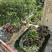 Apartmani "Bevanda", , logement privé à Buljarica, Monténégro - IMG_7783